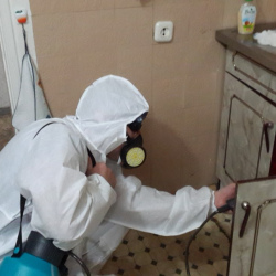 Дезинфекция от муравьев в квартире в Уварово