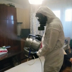 Дезинфекция от клопов в Уварово