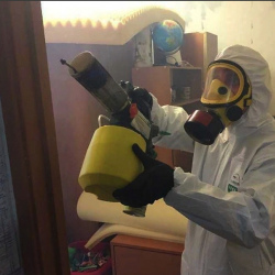 Уничтожение клопов в квартире. Уварово